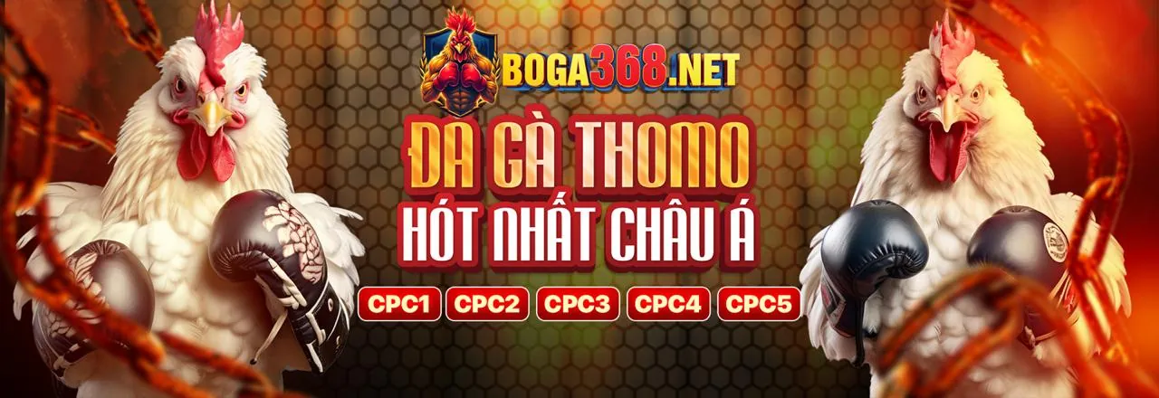 Đá gà trực tuyến abc8bet link mới 2026